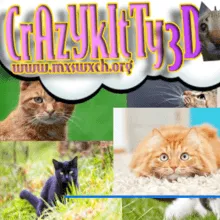 Crazy Kitty 3D