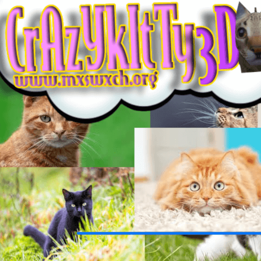 cats in Crazy Kitty 3D