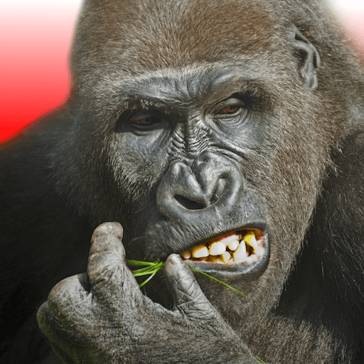 Gorilla's face in Flying Gorilla 3D